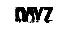 monetize DayZ server
